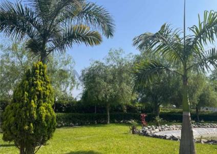 San regis , Chincha, Ica 00001, Peru