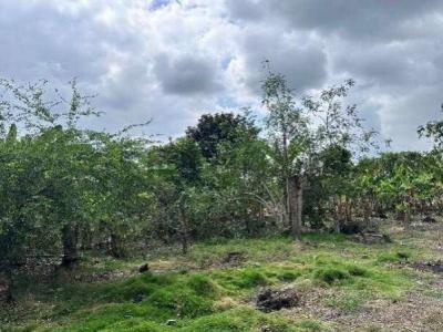 Chone, Manabí 00001, Ecuador