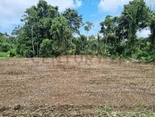 Chone, Manabí 00001, Ecuador