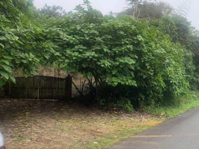 Manta, Manabí 00001, Ecuador