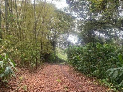 Manta, Manabí 00001, Ecuador