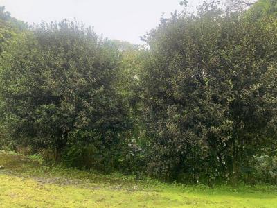 Manta, Manabí 00001, Ecuador