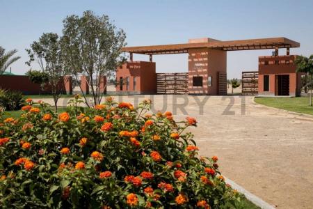 Fundo El Almendral , Ica, Ica 00001, Peru