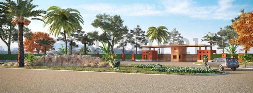 Fundo El Almendral , Ica, Ica 00001, Peru