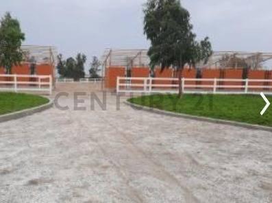 Fundo El Almendral , Ica, Ica 00001, Peru