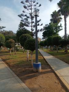 Asentamiento Humano Pilares Azules Mz B Lote 15 , Callao, Callao 00001, Peru