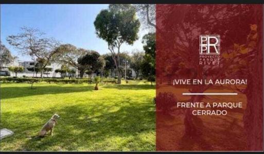 jose sabogal , Lima, Lima 00001, Peru