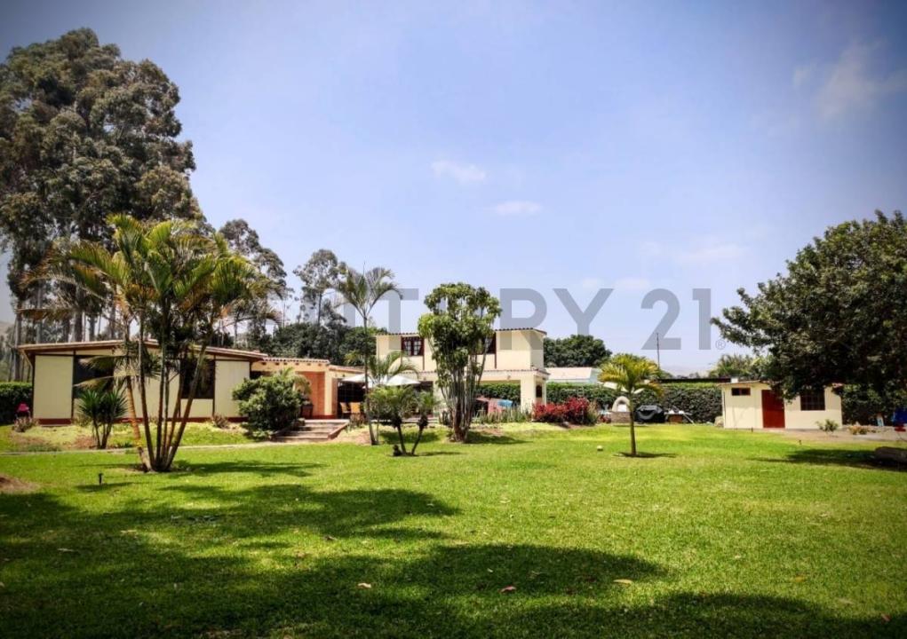 Mz D Lote 33, Cañete, Lima 00001, بيرو