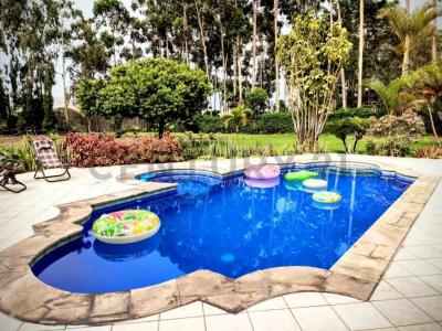 Mz D Lote 33, Cañete, Lima 00001, بيرو