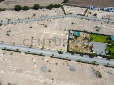 Sector San Alfonso ,Parcela 118 UC 14005 , Chincha, Ica 00001, Peru