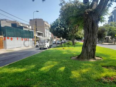 Av Monseñor Roca y Boloña , Lima, Lima 00001, Peru