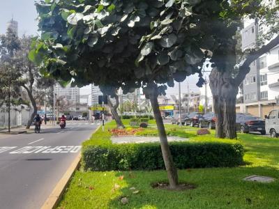 Av Monseñor Roca y Boloña , Lima, Lima 00001, Peru