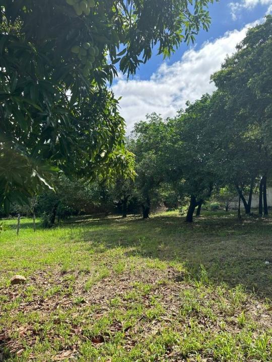 Adrian Jara, casi 12 de Junio - Luque , Luque, Central 00001, Paraguay