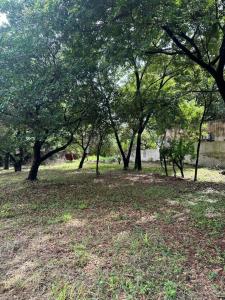 Adrian Jara, casi 12 de Junio - Luque , Luque, Central 00001, Paraguay