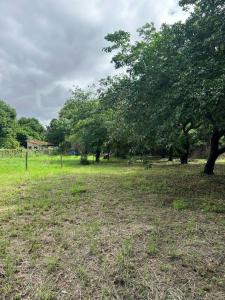 Adrian Jara, casi 12 de Junio - Luque , Luque, Central 00001, Paraguay