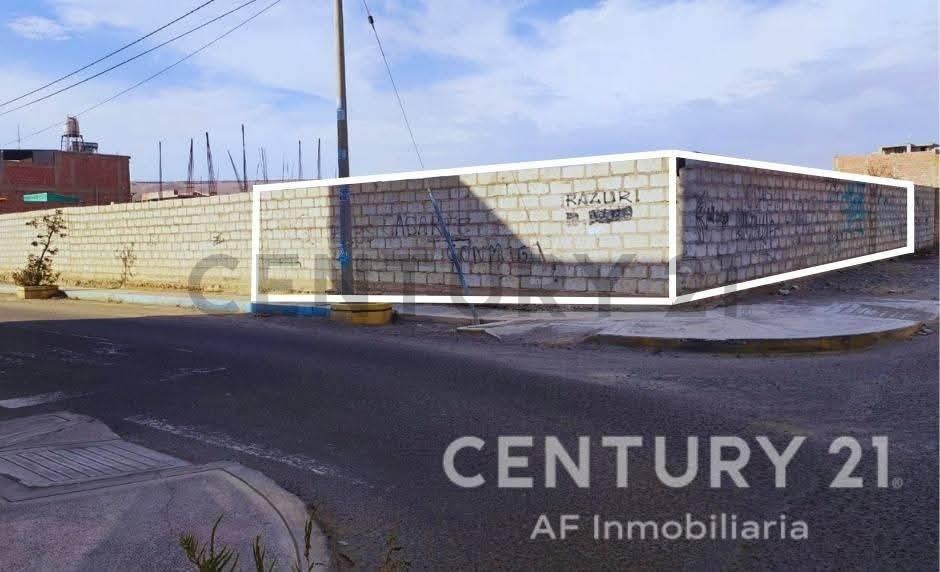 P.J. BOLOGNESI- CARAMOLLE, SECTOR CAPANIQUE MZ F LT. 14 , Tacna, Tacna 00001, Peru