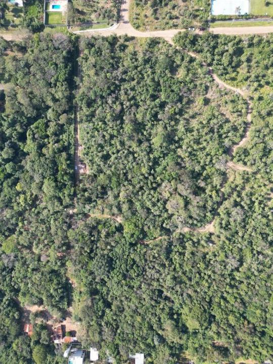 Jacaranda & Wenceslao Lopez , San Bernardino, Cordillera 00001, Парагвай