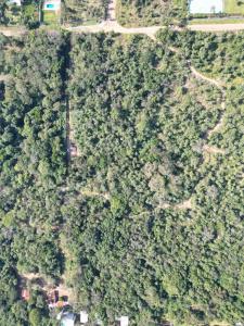 Jacaranda & Wenceslao Lopez , San Bernardino, Cordillera 00001, Парагвай