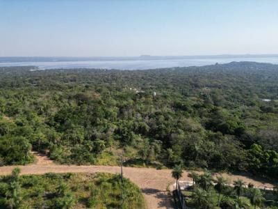Jacaranda & Wenceslao Lopez , San Bernardino, Cordillera 00001, Парагвай