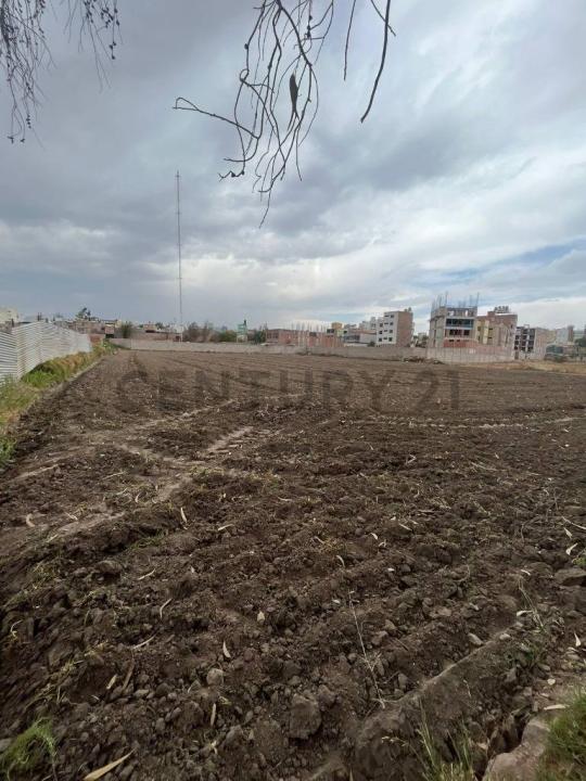 Av. Daniel Alcides Carrión, La Pampilla , Arequipa, Arequipa 00001, Peru