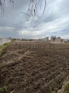 Av. Daniel Alcides Carrión, La Pampilla , Arequipa, Arequipa 00001, Peru