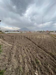 Av. Daniel Alcides Carrión, La Pampilla , Arequipa, Arequipa 00001, Peru