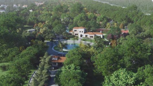 izara , Luque, Central 00001, Paraguay