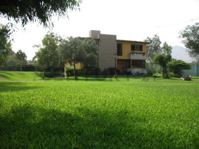 JR RAPALLO , Lima, Lima 00001, Peru