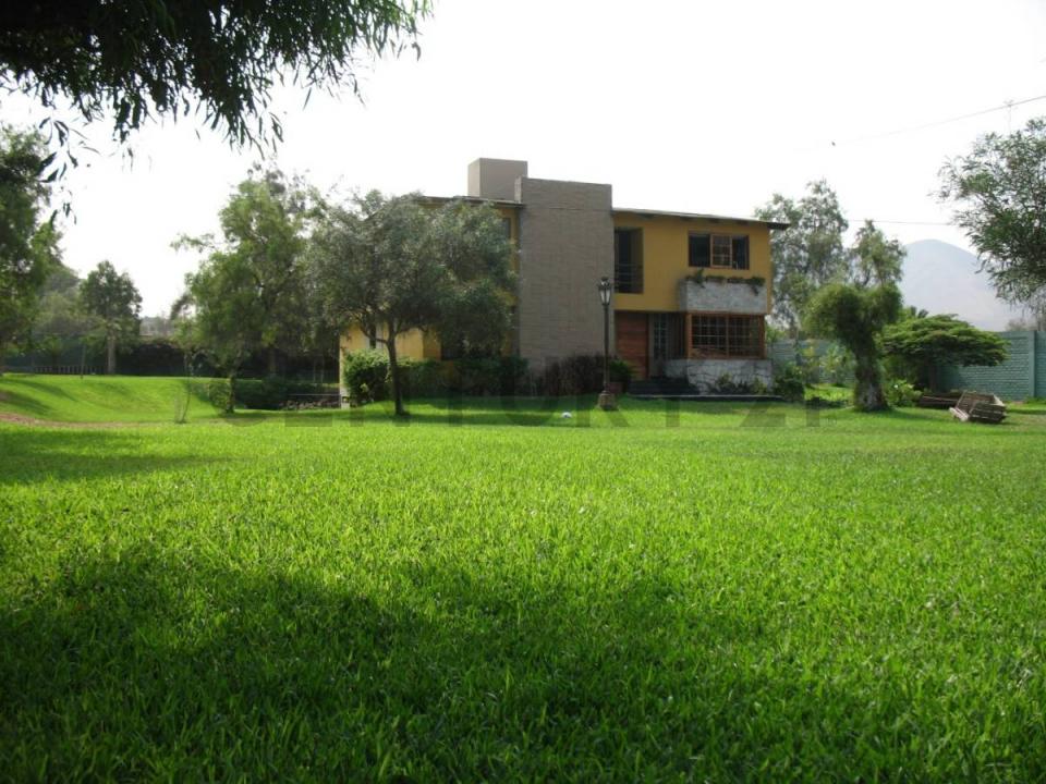 JR RAPALLO , Lima, Lima 00001, Peru