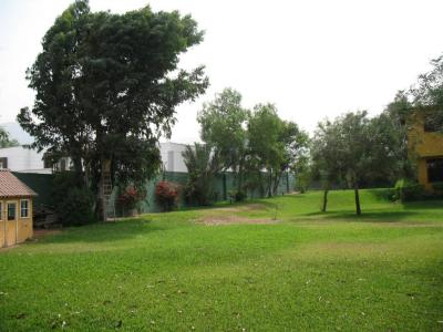 JR RAPALLO , Lima, Lima 00001, Peru