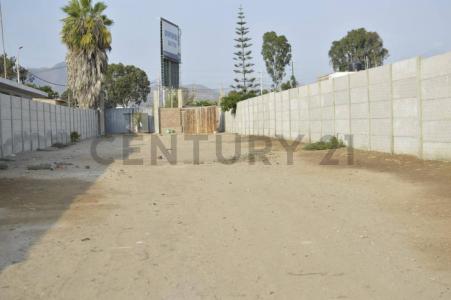 FUNDO ARIZONA , Cañete, Lima 00001, Peru