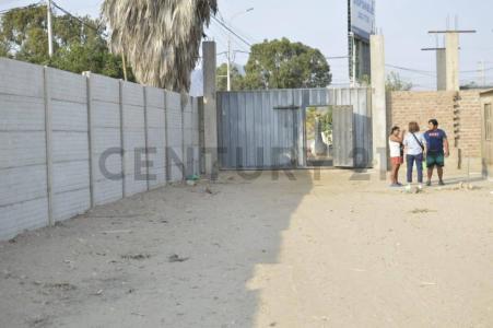 FUNDO ARIZONA , Cañete, Lima 00001, Peru