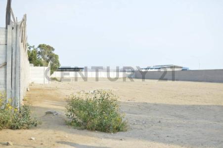 FUNDO ARIZONA , Cañete, Lima 00001, Peru