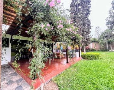 Av. Tambo Viejo , Lima, Lima 00001, Peru