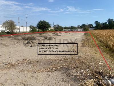 AV 28 DE JULIO DISTRITO SANTA MARIA , Huaura, Lima 00001, Peru