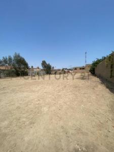 Calle Pedro Moreno , Chincha, Ica 00001, Peru