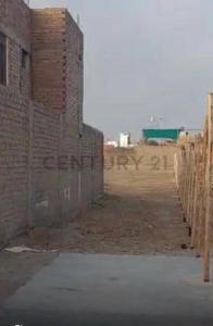 Calle Pedro Moreno , Chincha, Ica 00001, Peru