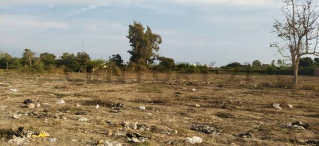 SUNAMPE , Chincha, Ica 00001, Peru