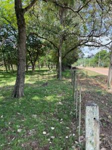 Prof. Elba Correa de Apud , San Bernardino, Cordillera 00001, Paraguai
