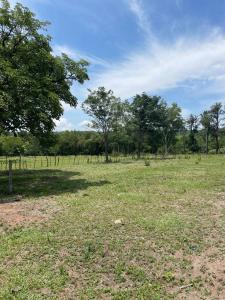 Prof. Elba Correa de Apud , San Bernardino, Cordillera 00001, Paraguai