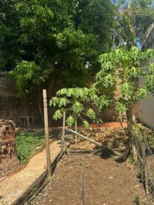 Doctor Manuel Pérez c/ Misiones , Las Mercedes, Asunción 00001, Paraguay