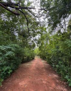 Sargento Joaquin Espinola c/ Avenida Las Residentas , Luque, Central 00001, Le Paraguay