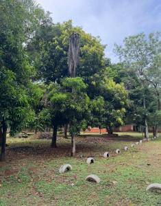 Sargento Joaquin Espinola c/ Avenida Las Residentas , Luque, Central 00001, Le Paraguay