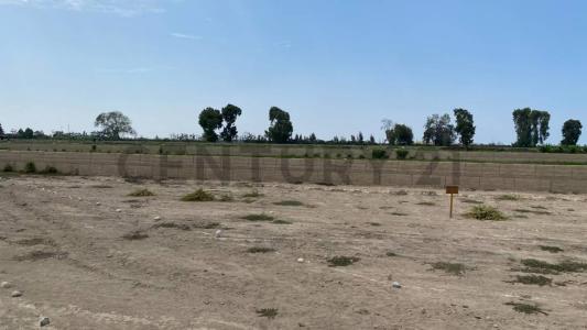 Chincha, Ica 00001, Peru