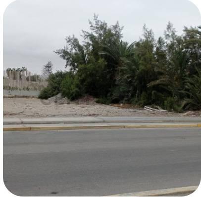 Urb. Paracas , Pisco, Ica 00001, Peru