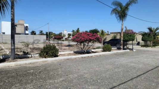 MACACONA2 , Ica, Ica 00001, Peru