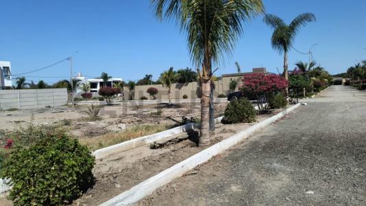 MACACONA2 , Ica, Ica 00001, Peru