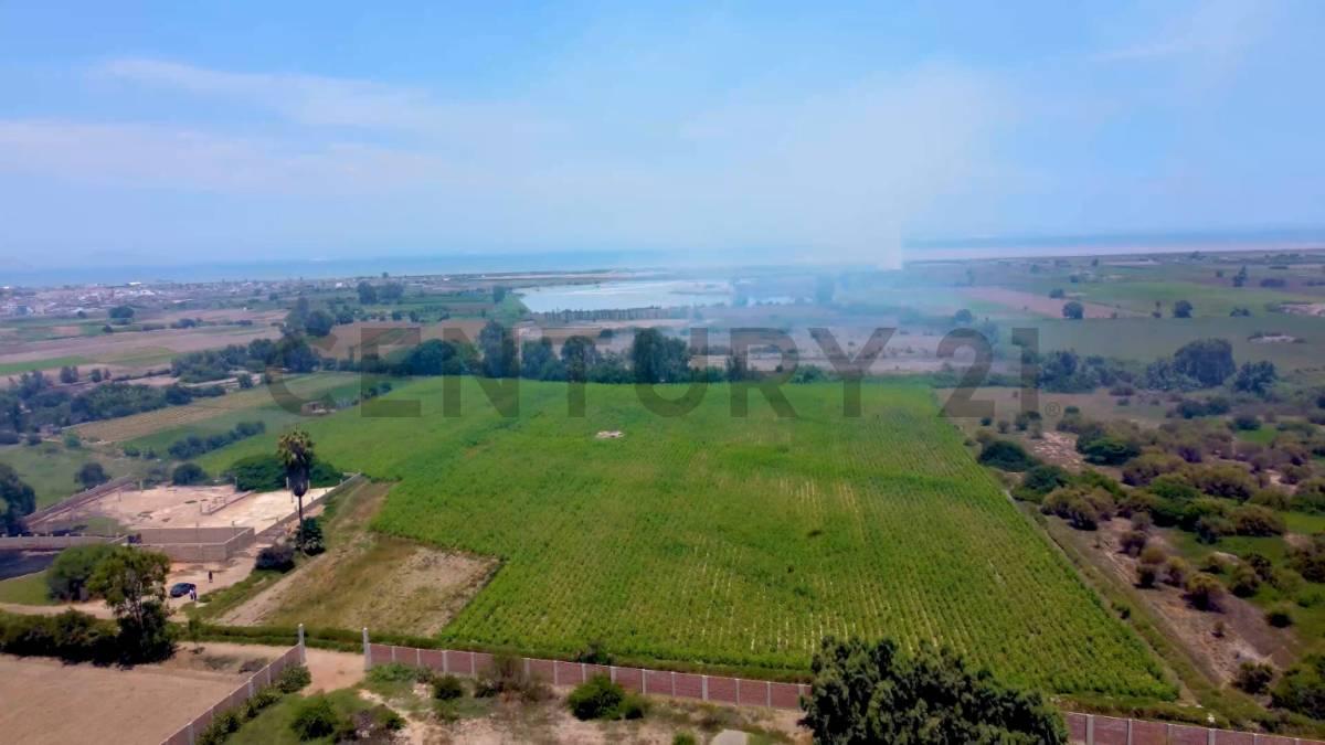 FUNDO OLIVAR , Pisco, Ica 00001, Peru