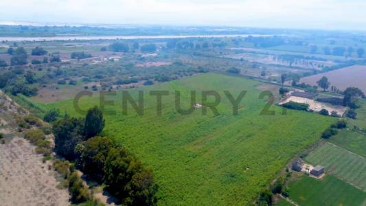 FUNDO OLIVAR , Pisco, Ica 00001, Peru