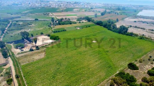 FUNDO OLIVAR , Pisco, Ica 00001, Peru